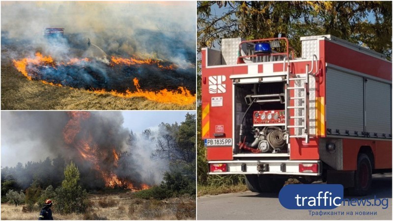 Огромен пожар бушува край пловдивско село, пет пожарни се борят със стихията