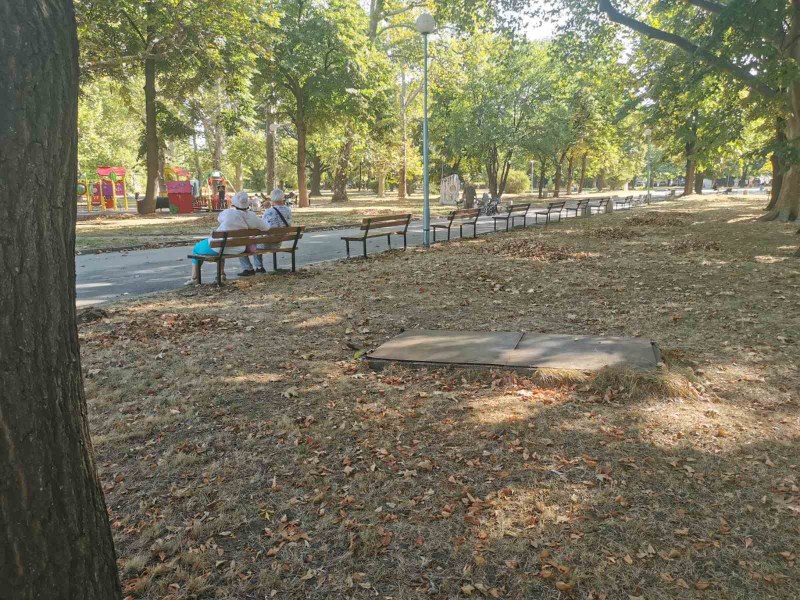 Нови пейки слагат по основните алеи в парк „Рибница”