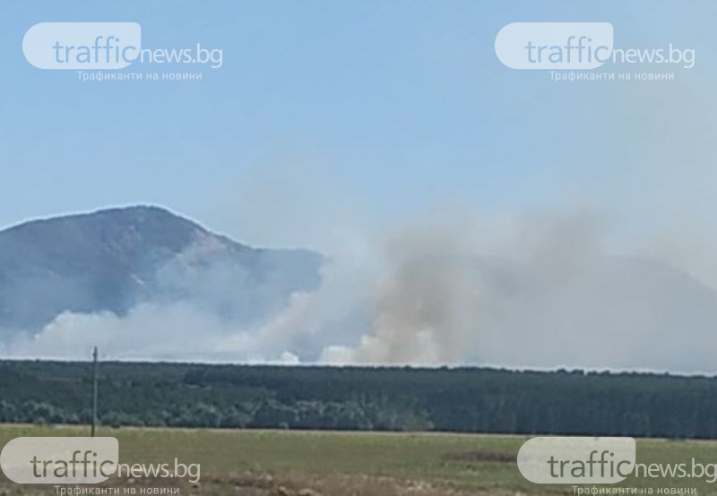 Нов голям пожар гори край пловдивски села, огънят е обхванал гора