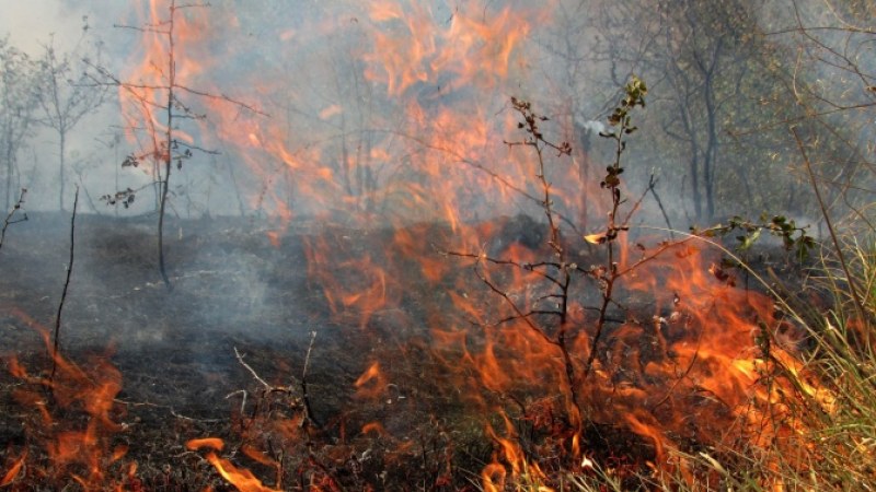 Втори ден пожар в Първомайско! Горят треви и храсти на 500 декара