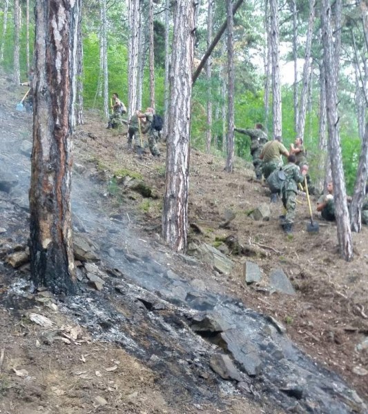 Локализираха пожара над Карлово