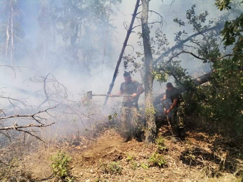 Пожарникари, горски, военни, пилоти, полицаи, доброволци гасиха пожара над Карлово! Общината им благодари