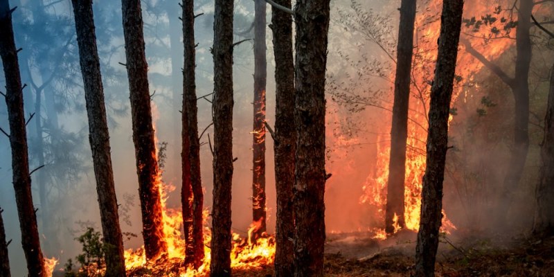 Голям пожар край Хисаря, четири екипа огнеборци са на мястото