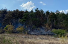ovladiaha-pozhara-krai-hisaria-272.png