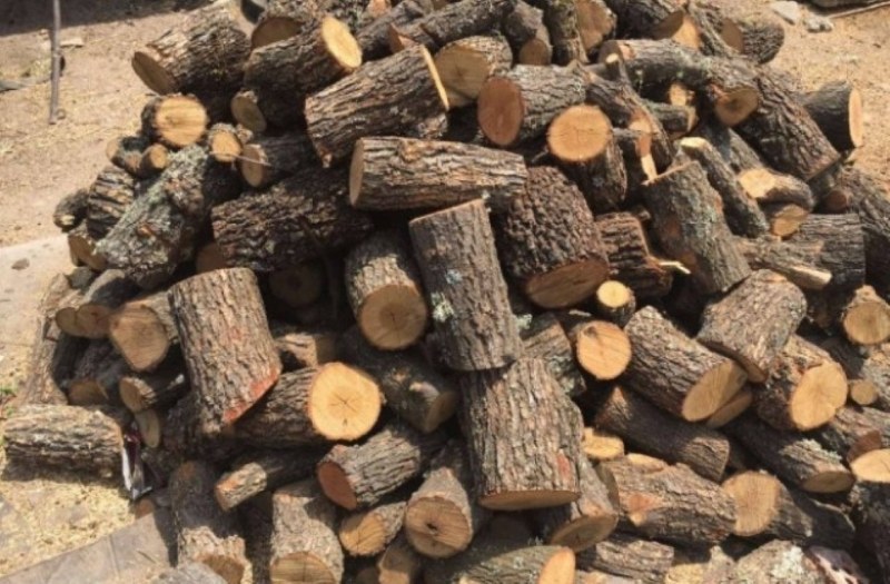 Спипаха мъж в Брезовско с незаконен дървен материал