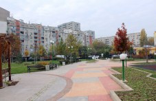 35-novi-dravcheta-pusnaha-koreni-362.jpg