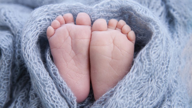 “Искам бебе“ - благотворителна кампания в Карлово ще сбъдне мечта поне на едно семейство