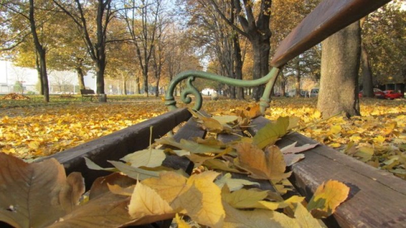 Облачен започва днешният петък в Пловдив, чакаме слънце