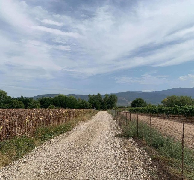 Подобрено е състоянието на основните земеделски пътища край Перущица