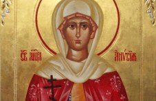 pochitame-sveta-machenitsa-anisiia-732.jpg