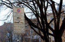 sinia-zona-bezplatna-plovdiv-1-ianuari-649.jpg