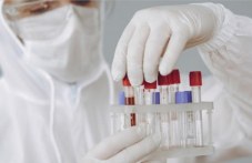 koronavirus-452.jpg