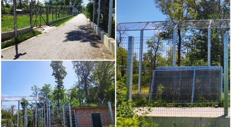 Съдебната битка за зоопарка в Пловдив започва, насрочиха дата на делото