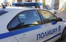 globiha-bashta-tormoz-nad-dashteria-si-465.jpg