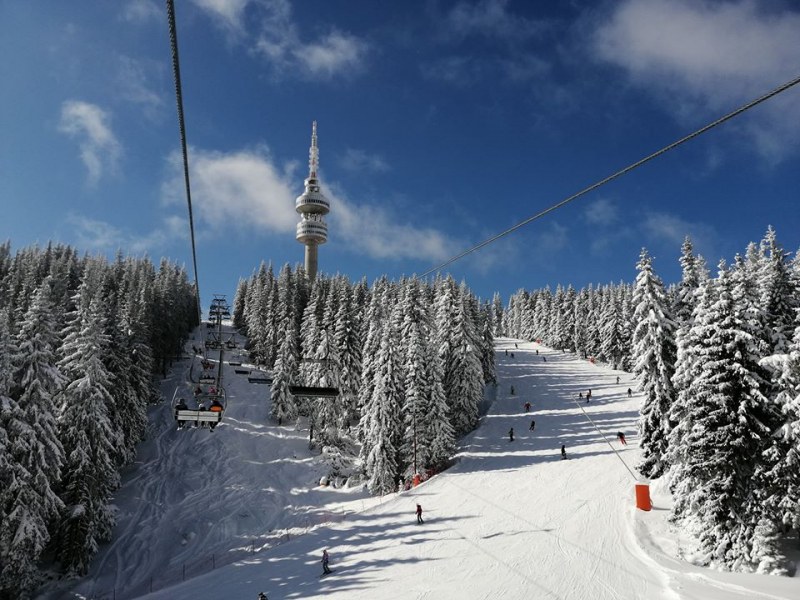 Затвориха ски зоната в Пампорово заради валежите, дърво премаза пет коли