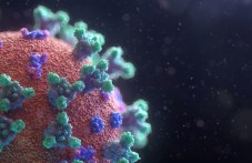 552-novi-sluchaia-koronavirus-61-603.jpg