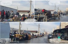 zhivotat-stolipinovo-dezinfektsiia-samo-525.jpg