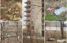 gorata-okolo-lauta-gardan-se-prevarna-517.jpg