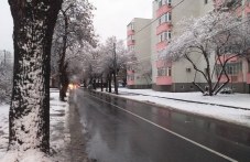 60-mashini-chistiha-plovdiv-tazi-nosht-117.jpg