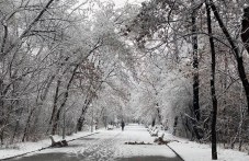 plovdiv-dochaka-taka-zhaduvaniia-sniag-048.jpg