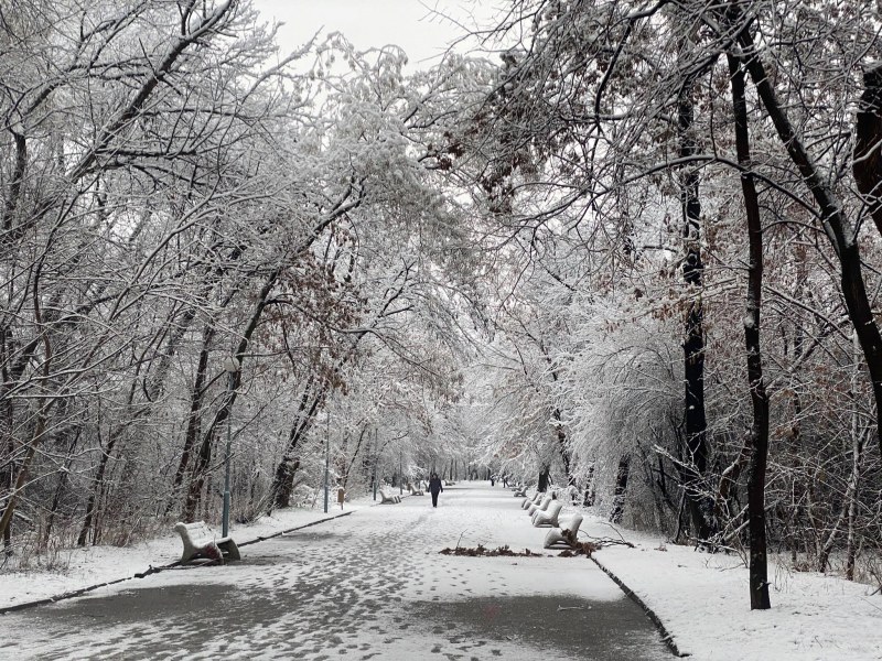 Пловдив дочака така жадувания сняг СНИМКИ и ВИДЕО