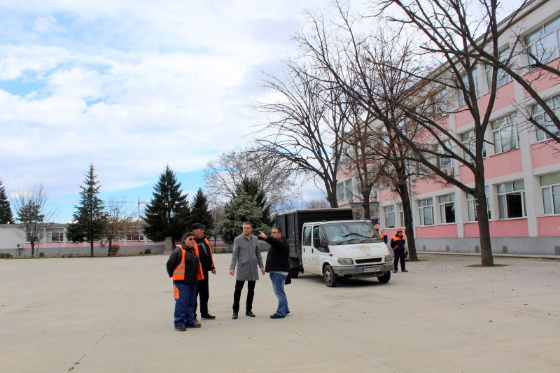Отрязаха опасни клони на дървета в дворовете на две пловдивски гимназии