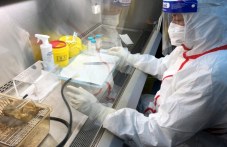 Възможно ли е COVID-19 да е тръгнал от китайска лаборатория? vazmozhno-li-e-covid-19-da-e-tragnal-364.jpg