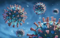 67-novi-sluchaia-koronavirus-plovdivsko-920.jpg