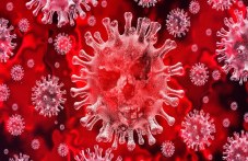 chovek-ne-mozhe-da-napravi-virus-kato-077.jpg