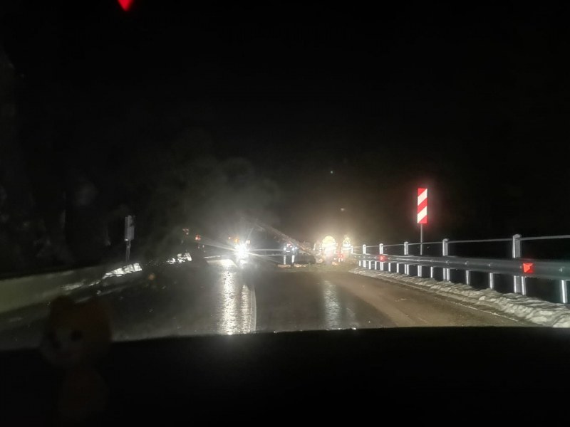 Път в Родопите блокиран от паднали дървета