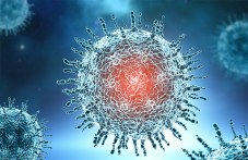 94-novi-sluchai-koronavirus-plovdivsko-999.jpg
