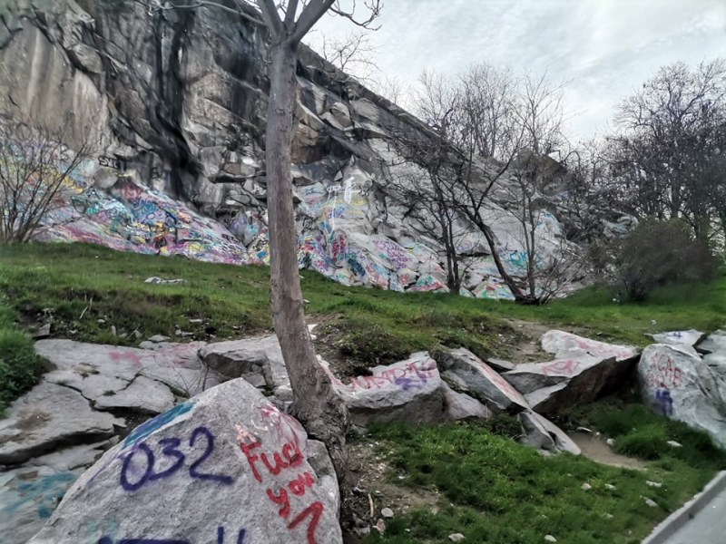 Грозни графити превземат Дановия хълм, спасение май няма...
