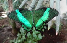 za-nai-malkite-spetsialen-uikend-388.jpg