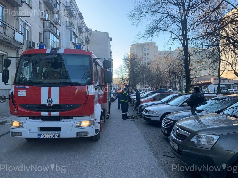 Над 20 сигнала в Пловдив за пострадали коли от паднали клони заради вятъра