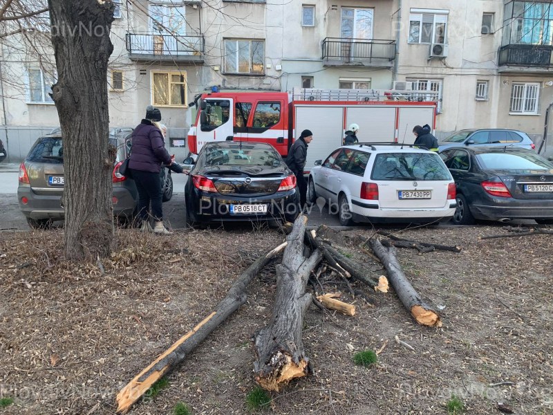 Силният вятър нанесе десетки щети в Пловдив