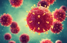 966-novi-sluchai-koronavirus-plovdivsko-350.jpeg