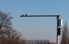 za-chasove-nad-800-shofyori-zasecheni-598.jpg