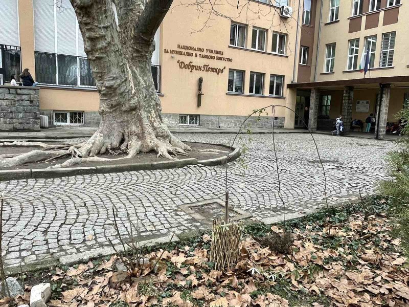 Родители на деца от Музикалното в Пловдив събират пари за ремонт на двора