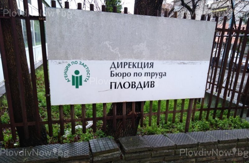 Работа в Пловдив в момента - за медици, учители, готвачи, застрахователи, монтажници, машинни оператори