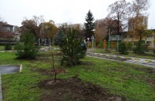 zapochva-proletna-kampaniia-plovdiv-743.jpg