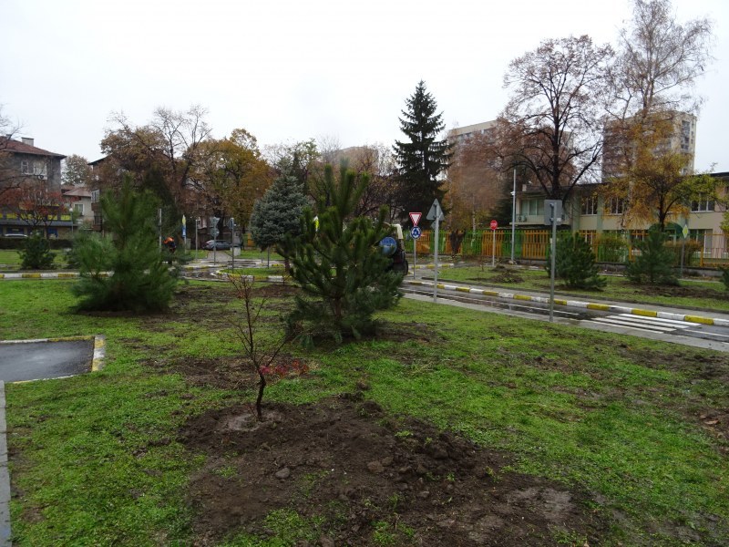 Започва пролетна кампания в Пловдив, засаждат дръвчета между блоковете