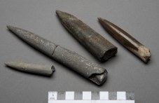 podaratsi-mladi-paleontolozi-fosili-nad-691.jpg