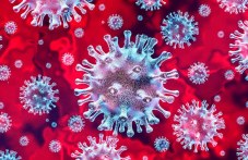 ucheni-tvardiat-antitelata-sreshtu-029.jpg