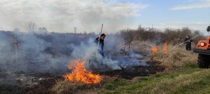 Жители на пловдивско село гасят пожар, тръгнал в лозов масив ВИДЕО