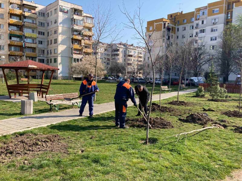 Нови дръвчета пуснаха корени в парк “Красива България“ в Пловдив
