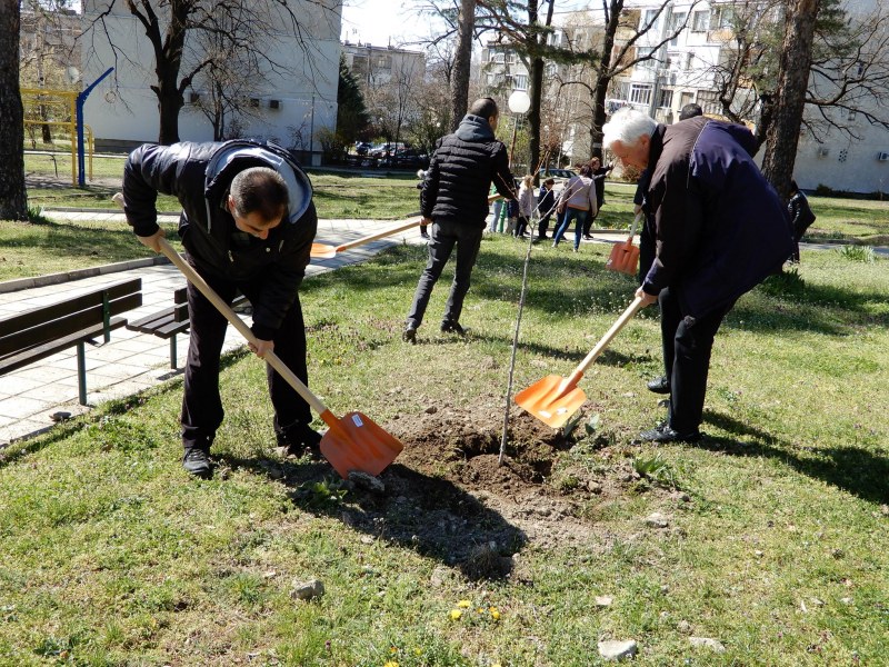 Деца и доброволци садиха дръвчета в Карлово