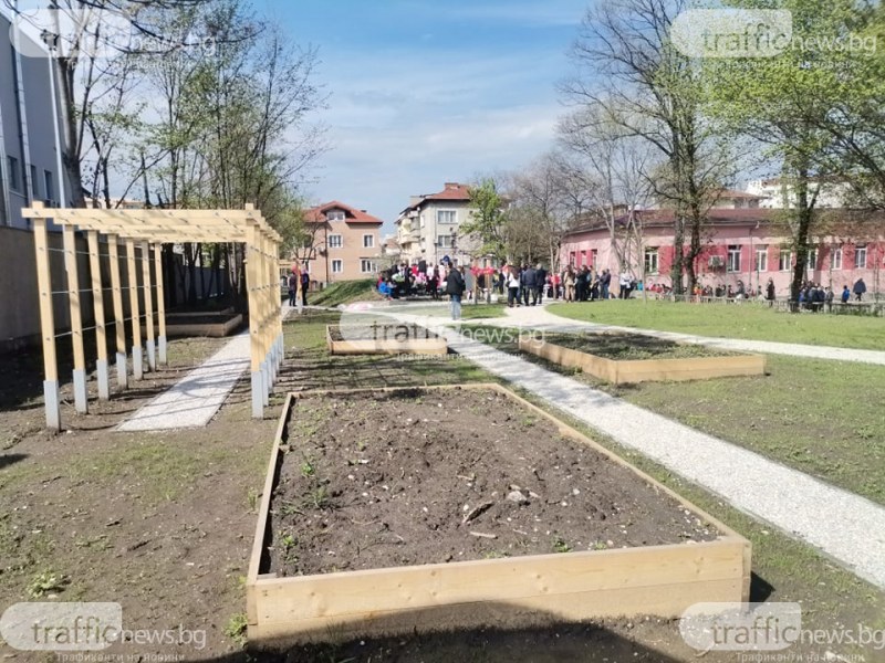 Уникална зелена класна стая откриха в Пловдив, няма такава в България