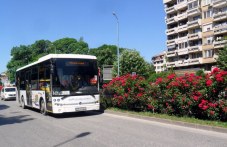 bezplatna-sinia-zona-dnes-plovdiv-414.jpg