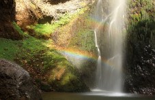 obnoviha-i-markiraha-patekata-kam-194.jpg