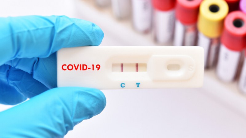 COVID кризата в цифри: Новозаразени в страната - 518, в Пловдив - 39 COVID кризата в цифри: Новозаразени в страната - 518, в Пловдив - 39